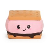 S'mores Squishy - 1 Random Design
